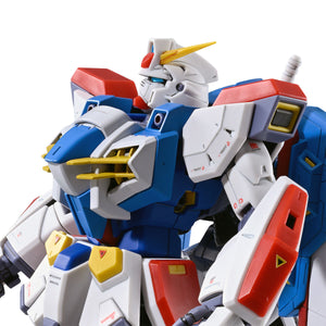 P-Bandai > MG 1/100 GUNDAM F90 N-TYPE