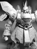 Daban > MG MSN-04 Sazabi Ver. Ka white armor