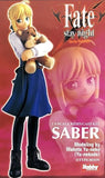 MH-Resin > Fate/stay night Saber
