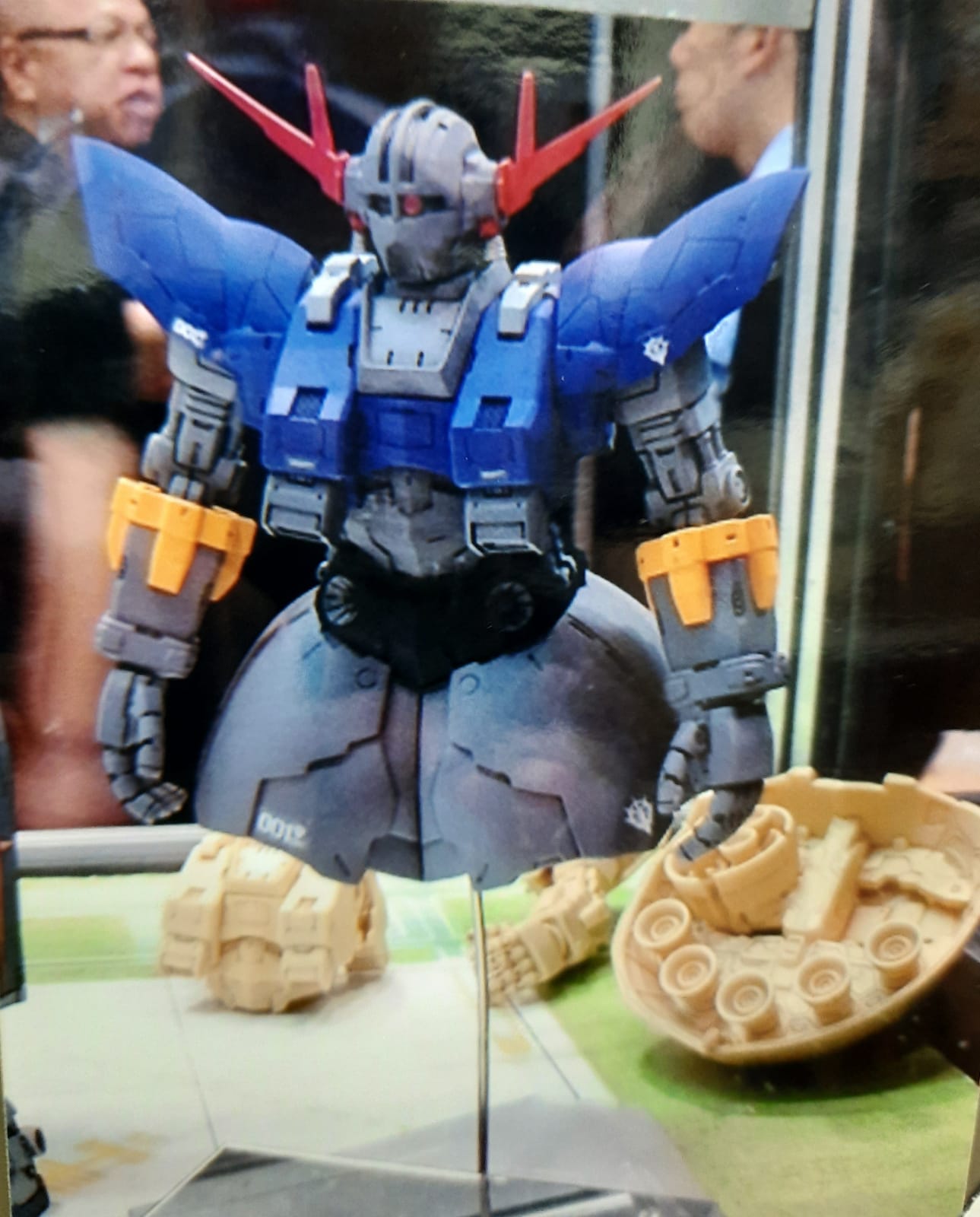 BANDAI MSN-02 ZEE ZONG MG 1/100新品